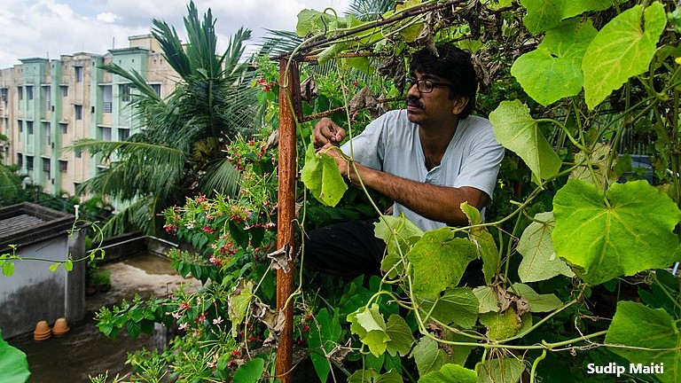 Un homme travaille sur son jardin sur un toit à Kolkata, en Inde. La sécheresse causée par le changement climatique peut avoir un impact significatif sur la production alimentaire mondiale. L’utilisation des toits comme source secondaire de production alimentaire peut contribuer à alléger la pression exercée par l'agriculture industrielle et réduire considérablement les émissions de gaz à effet de serre en utilisant des produits locaux.