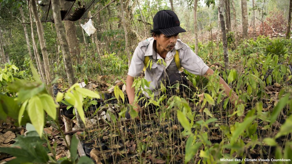 Petrus Asuy sème des graines forestières dans sa pépinière du village de Muara Tae, dans la province du Kalimantan oriental, en Indonésie, en septembre 2015.