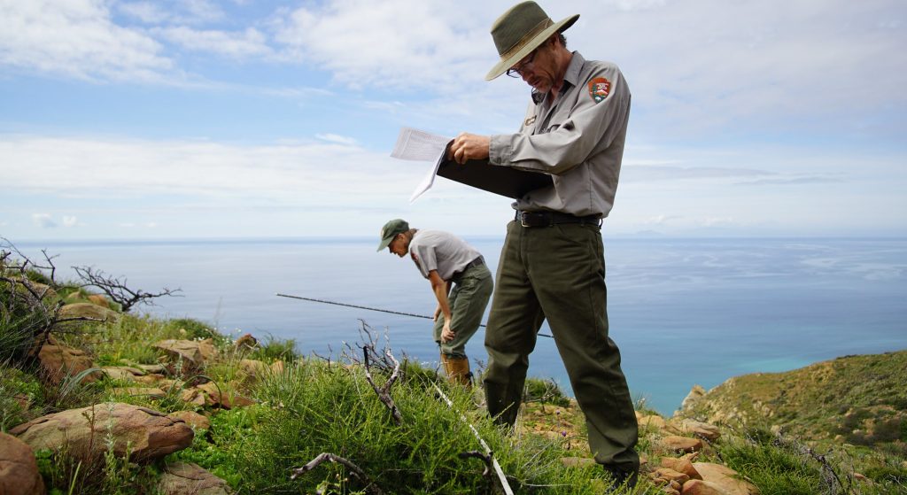 Des chercheurs effectuent un recensement de la végétation le long d'un transect dans le parc d'État de Point Mugu, aux États-Unis.