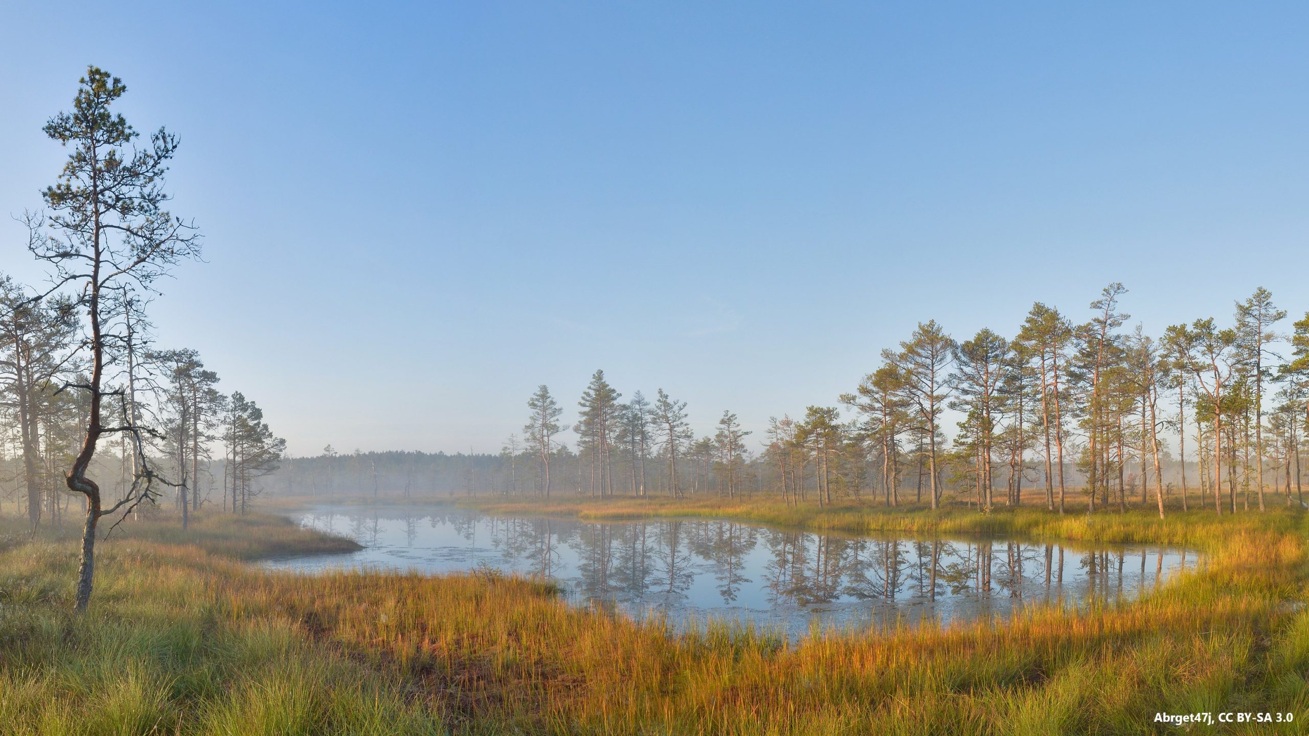 Sunrise at Viru Bog, Estonia