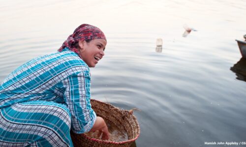 Woman washing wheat (wafaa) in the waters of the river Nile