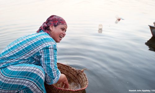 Woman washing wheat (wafaa) in the waters of the river Nile