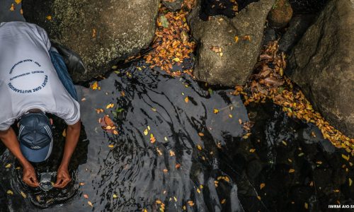 The Value of Clean Water
